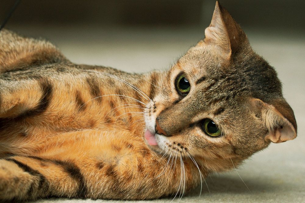 Photograph by Sanja Ristivojevic