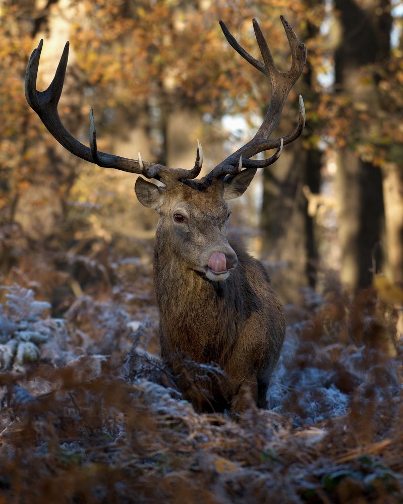 Фотография автора Kowalski Jaroslaw
