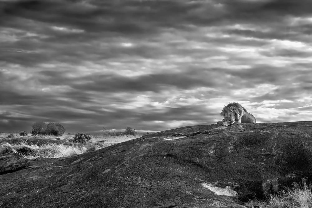 "Africa in mono chrome"