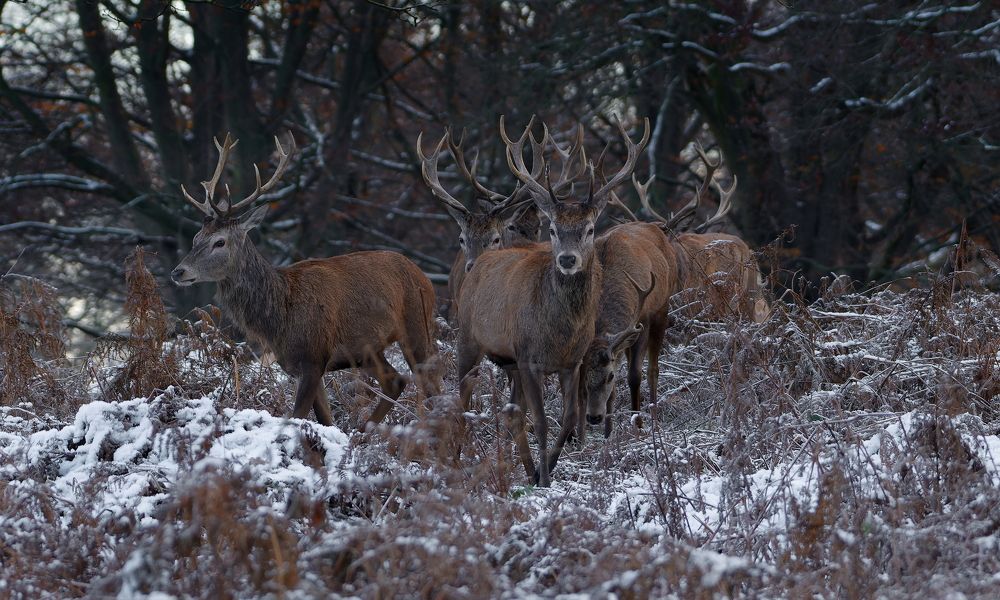 Фотография автора Kowalski Jaroslaw