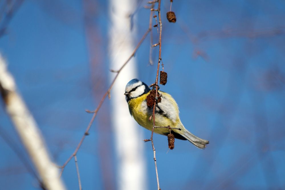 Photograph by Дмитрий Тимин