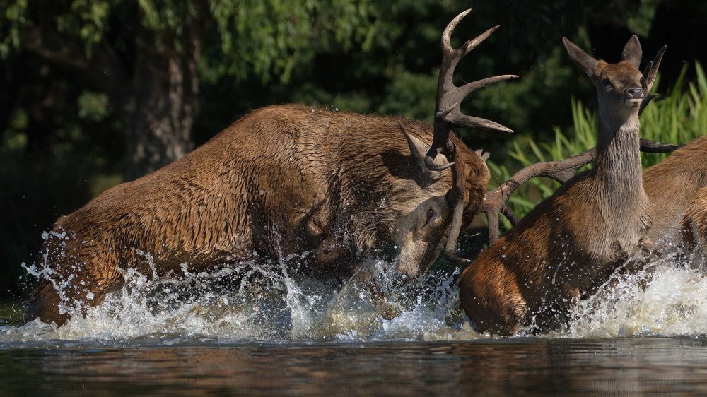 Фотография автора Kowalski Jaroslaw