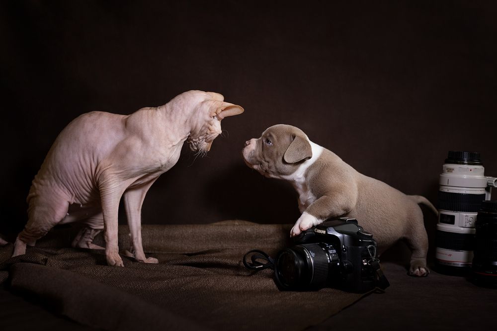 Photograph by Ольга Легенькая