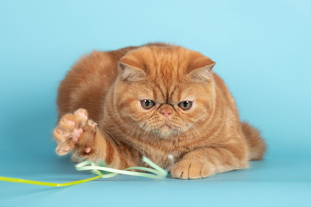 Photograph by Ольга Легенькая