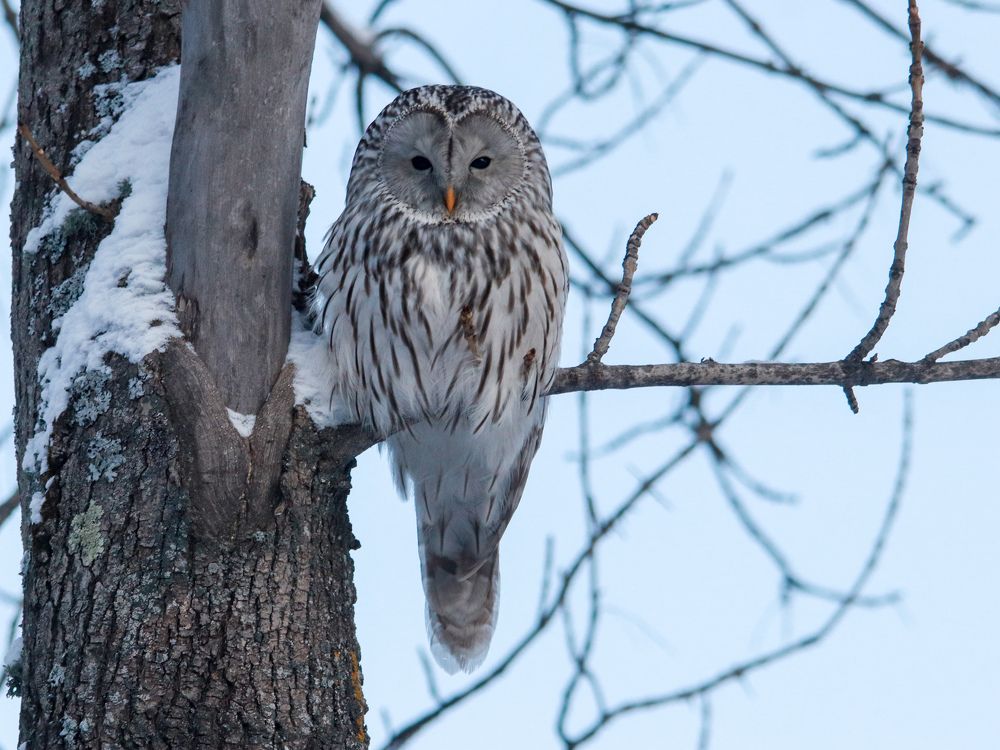 Photograph by Наталья Трифуз