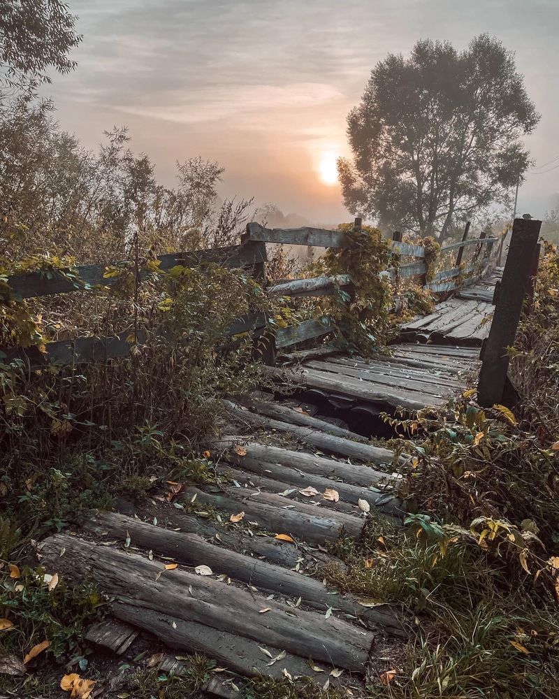 Photograph by Александра