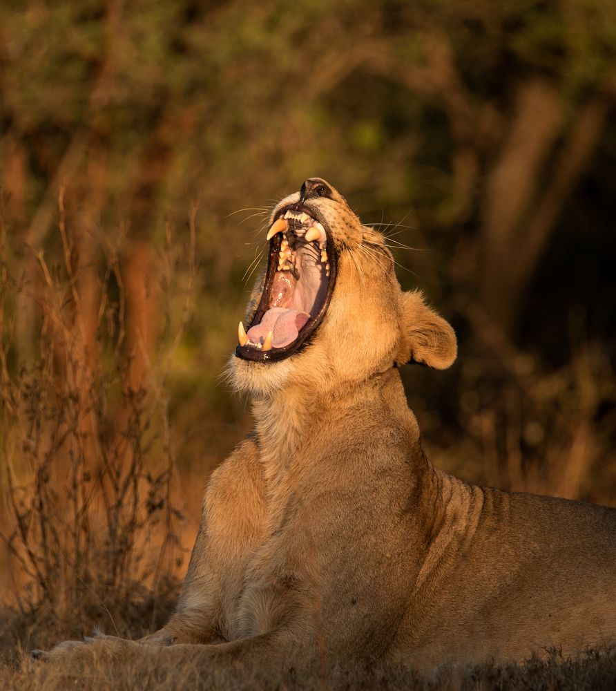 Photograph by Nirav Mehta