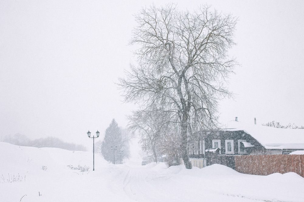 Photograph by Анастасия Охотникова