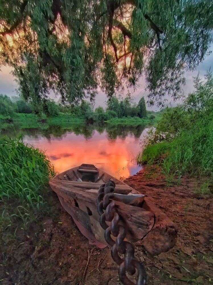 Photograph by Мария Воронцова