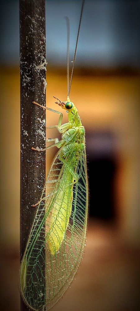 Photograph by Konstantin Martynov