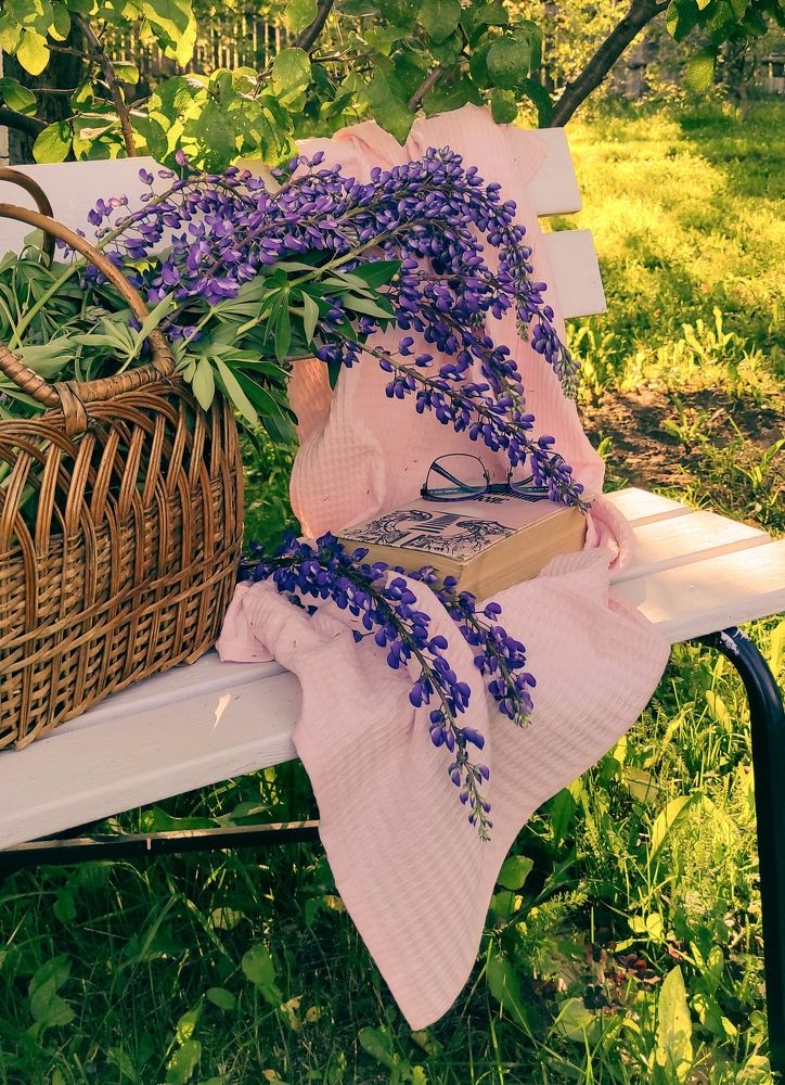 Photograph by Helen Ka