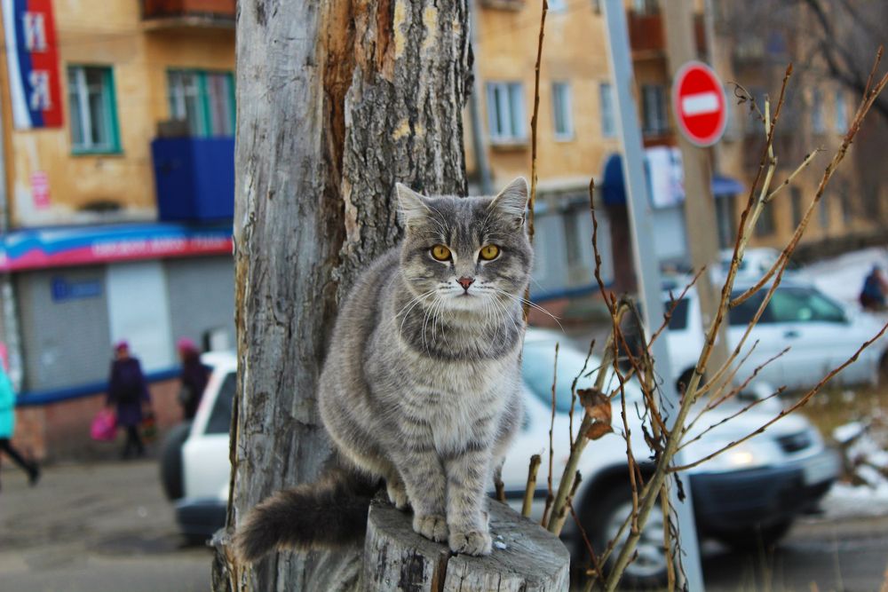 Photograph by Портных Дмитрий