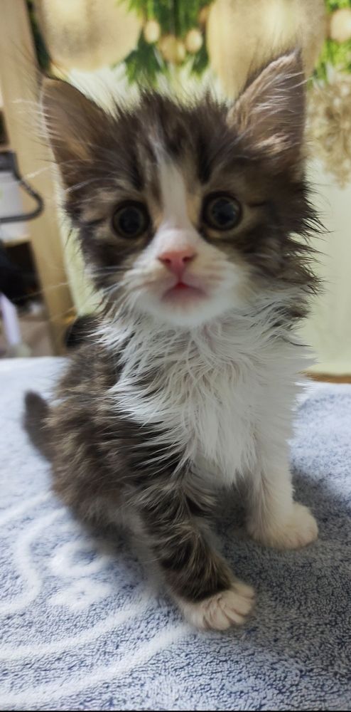 Photograph by Евгения