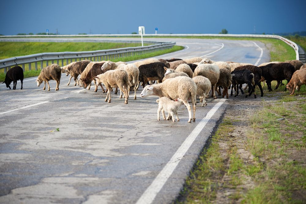 Photograph by Евгения Гловацкая