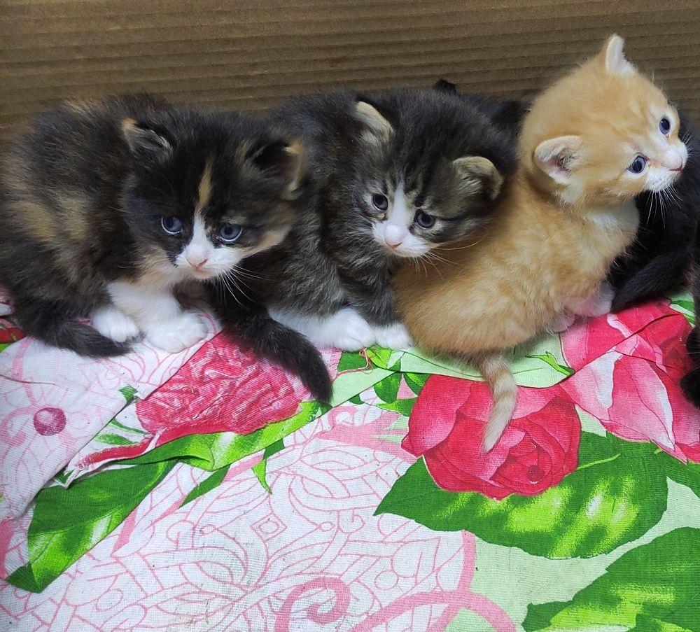 Photograph by Евгения