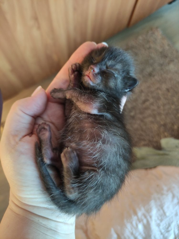 Photograph by Евгения