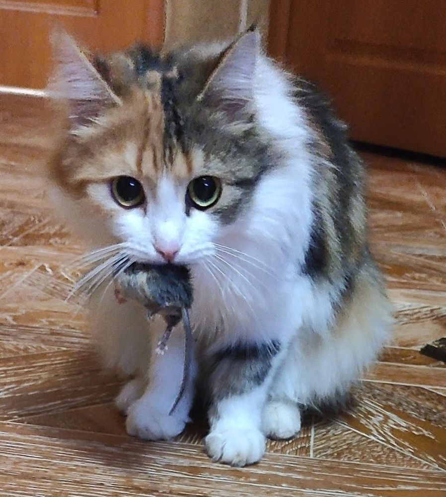 Photograph by Евгения