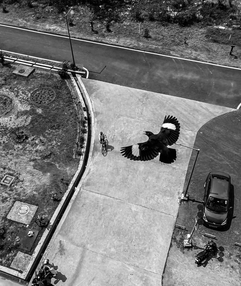 Photograph by Arita Halder