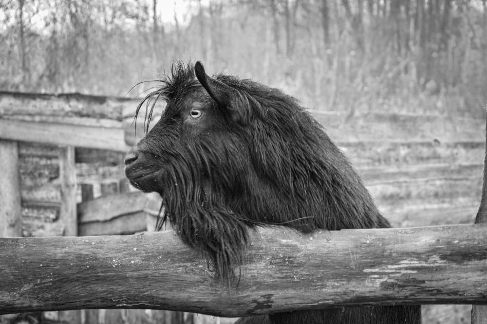 Photograph by Лариса Толкачёва