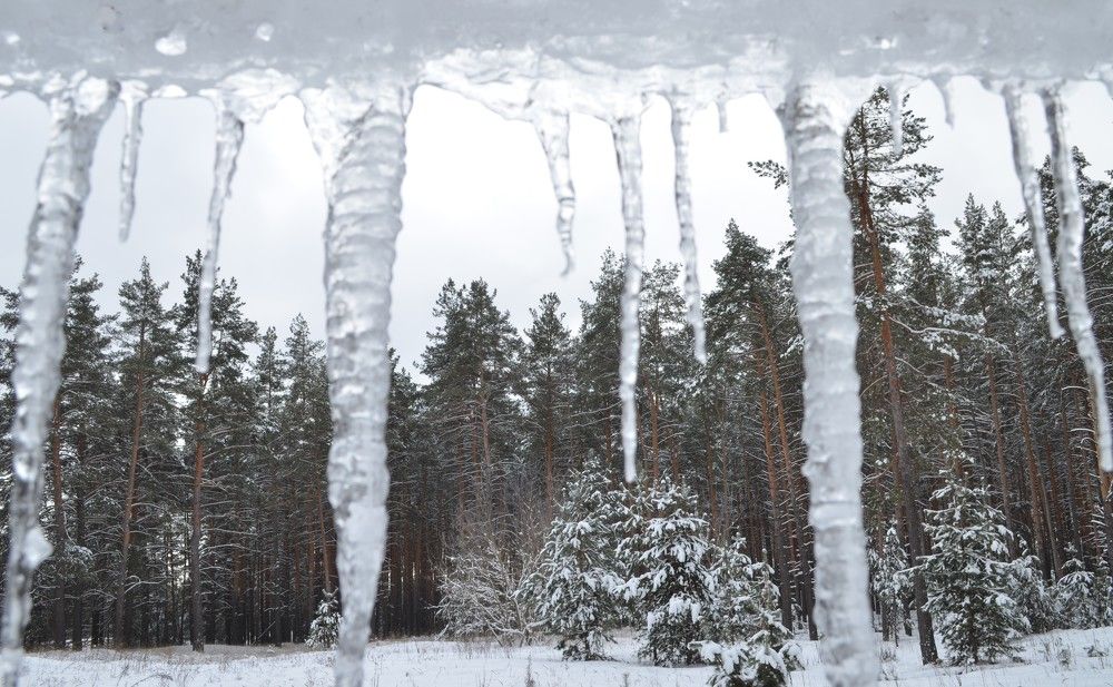 Photograph by Валерий Калинов