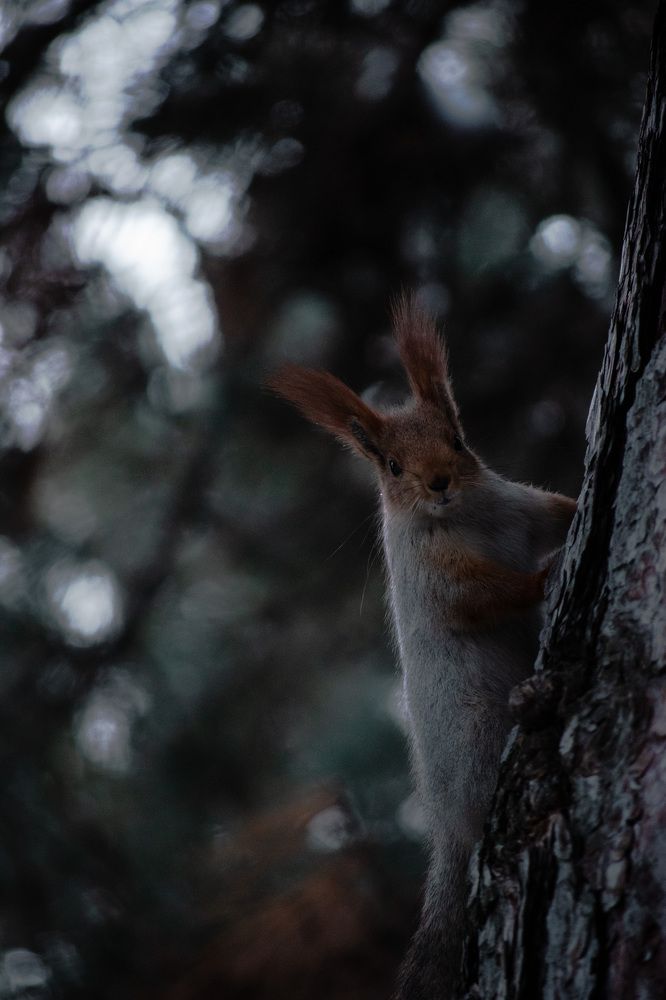 Photograph by Бекежан Мұхаметжанов