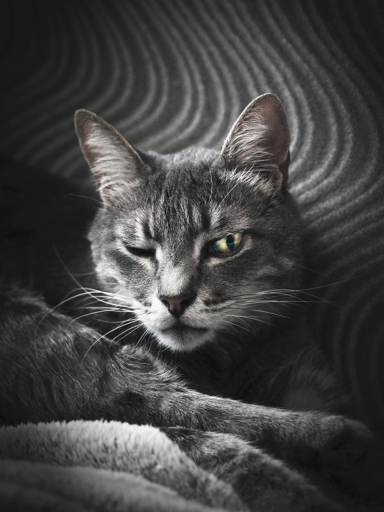 Фотография автора Svetlana Inyusheva