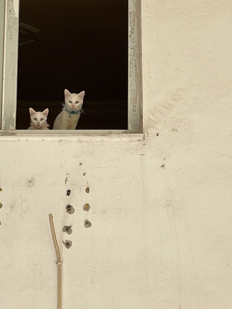 Photograph by Пётр Воронов