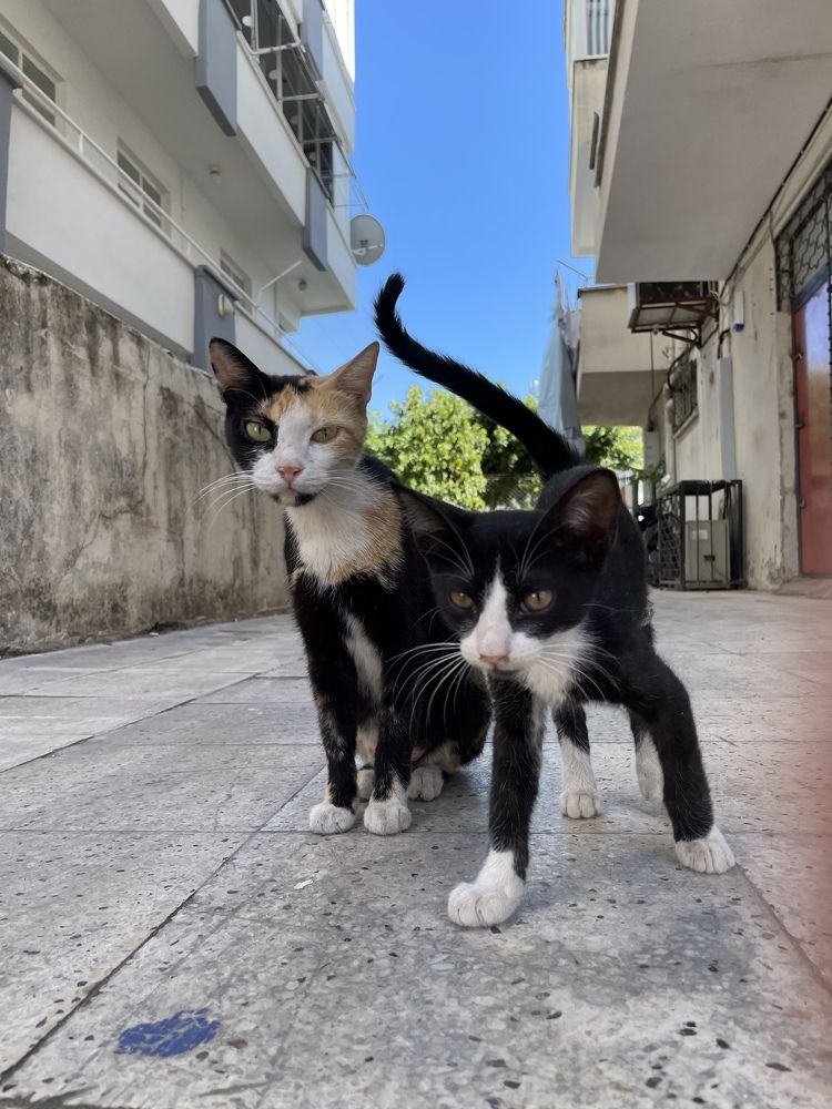 Photograph by Пётр Воронов