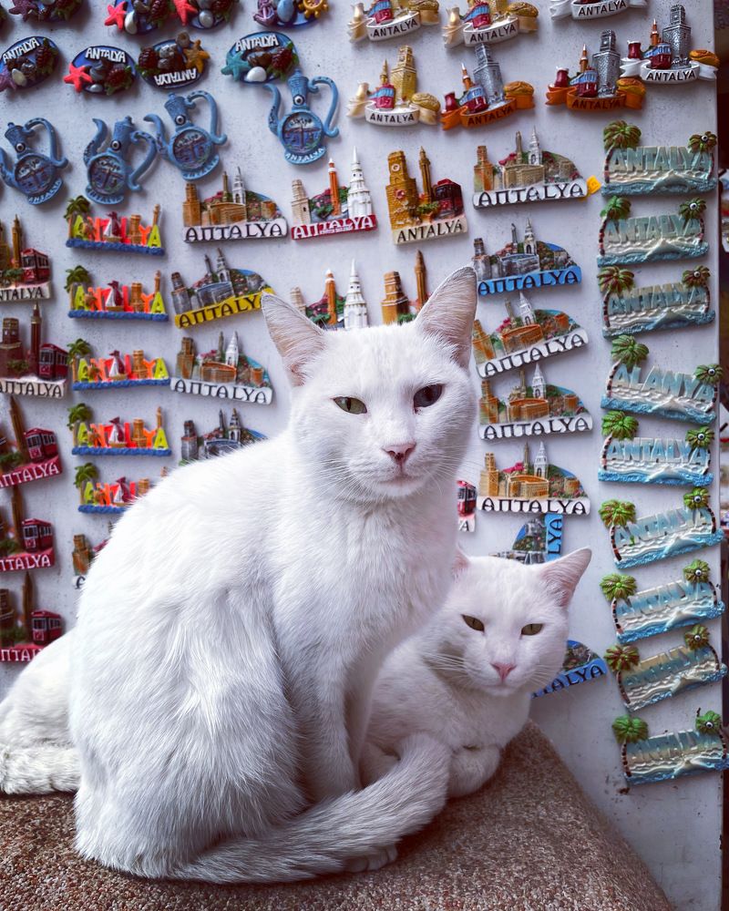 Photograph by Пётр Воронов