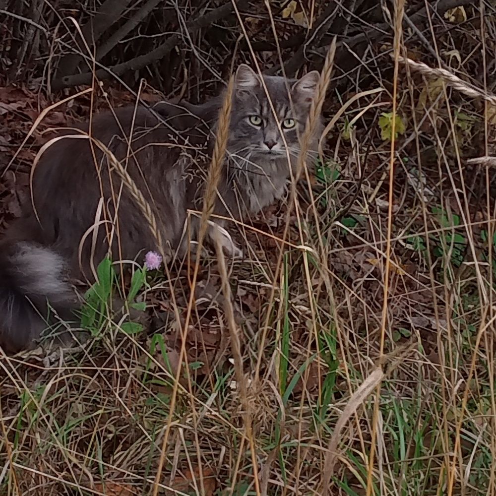 Photograph by Арина Сурсякова