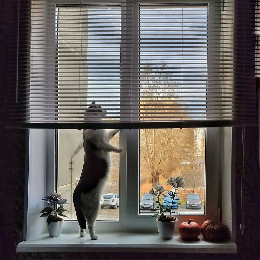 Photograph by Ольга Полякова