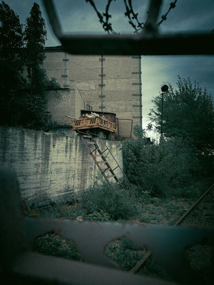 Photograph by Светлана Захарова