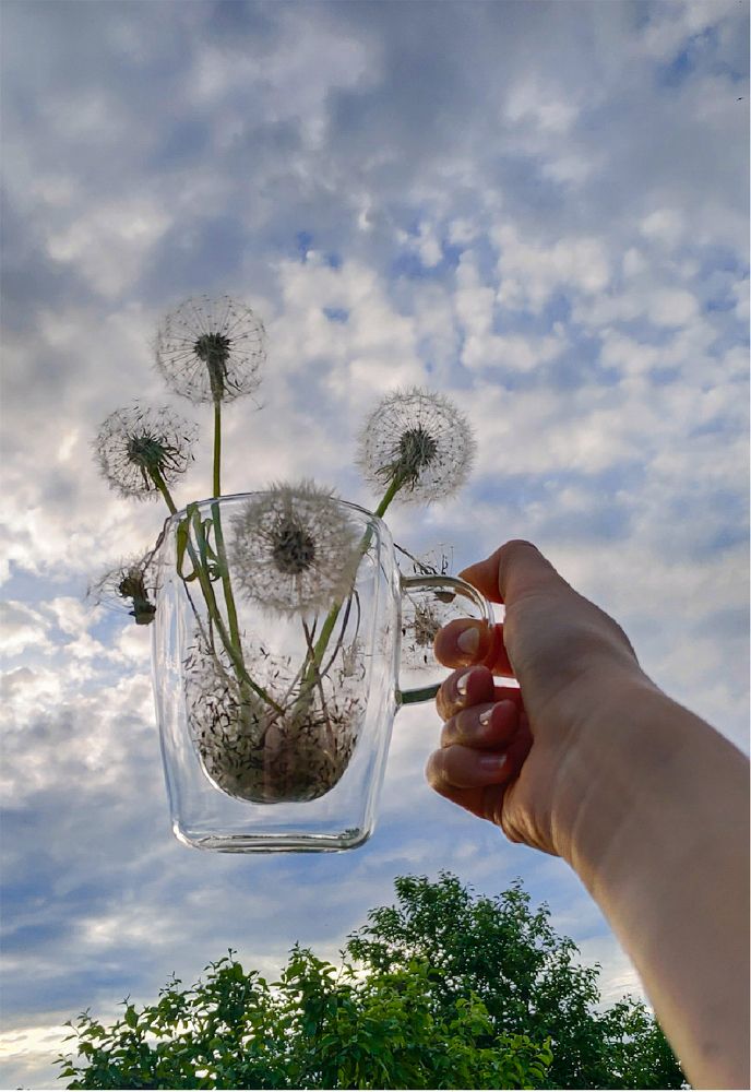 Photograph by Елена Алексеева