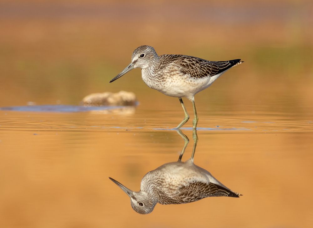 Photograph by Павел Краснослободцев