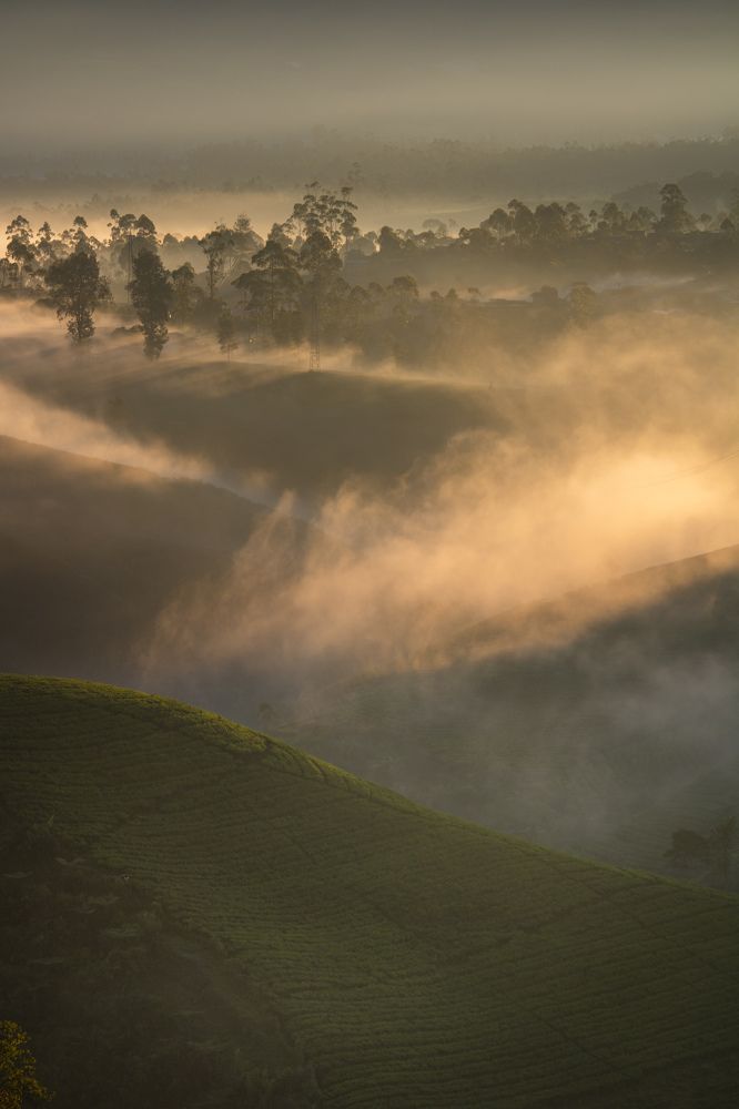 extraordinary golden sunrise