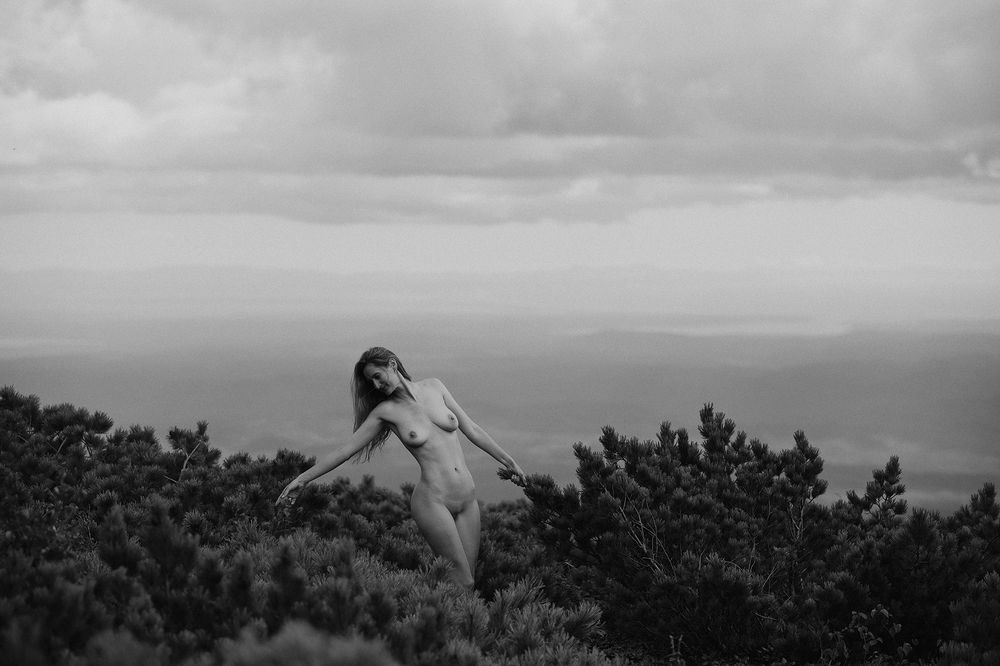 Фотография автора Эбингер Дмитрий