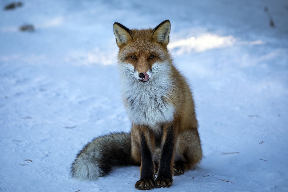 Photograph by Татьяна Борисова