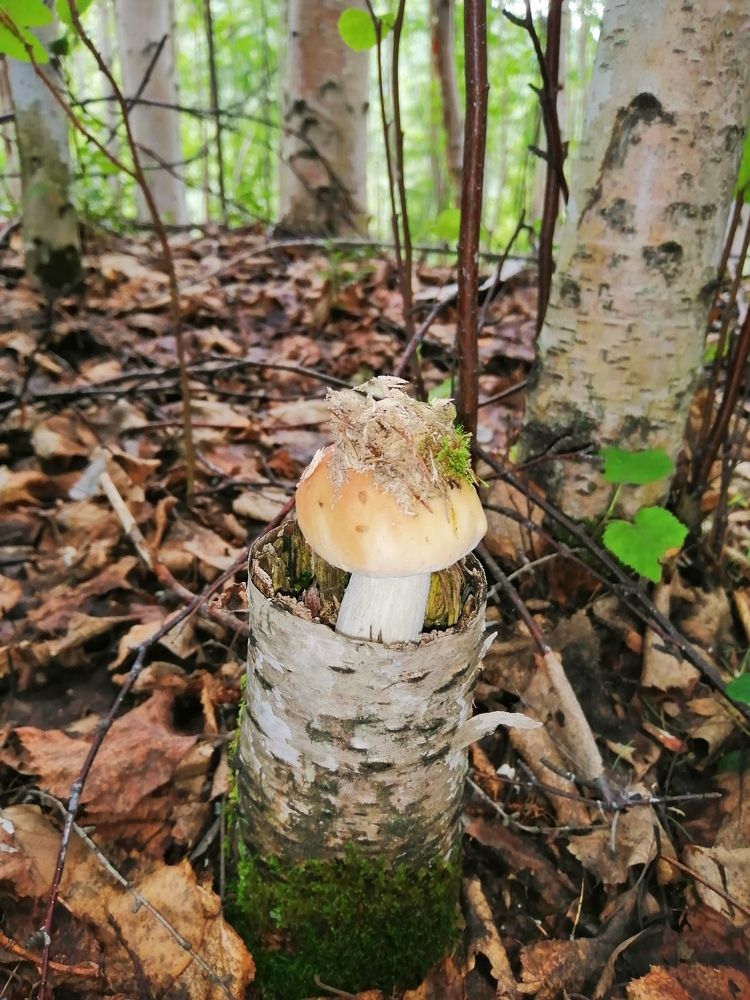 Photograph by Лена