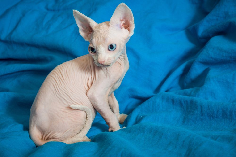 Photograph by Юрий Яковлевич