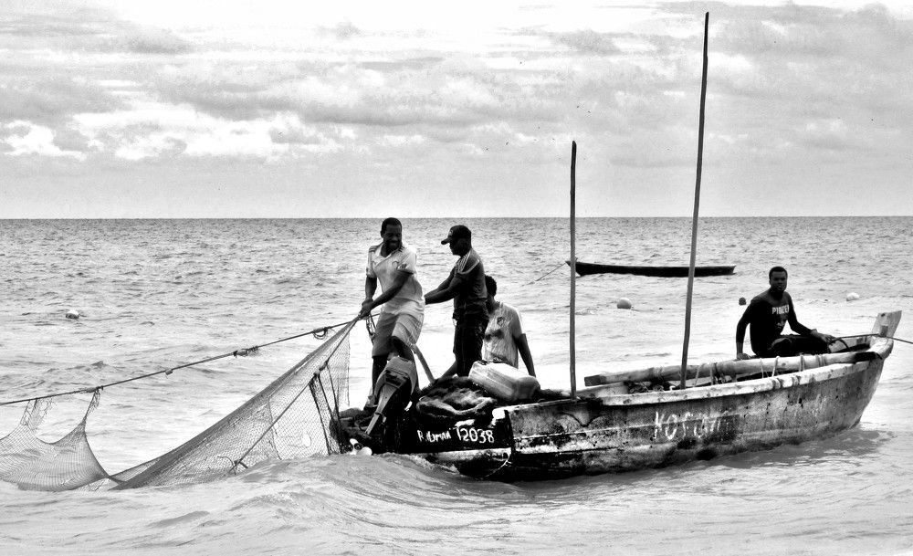 Photograph by дмитрий