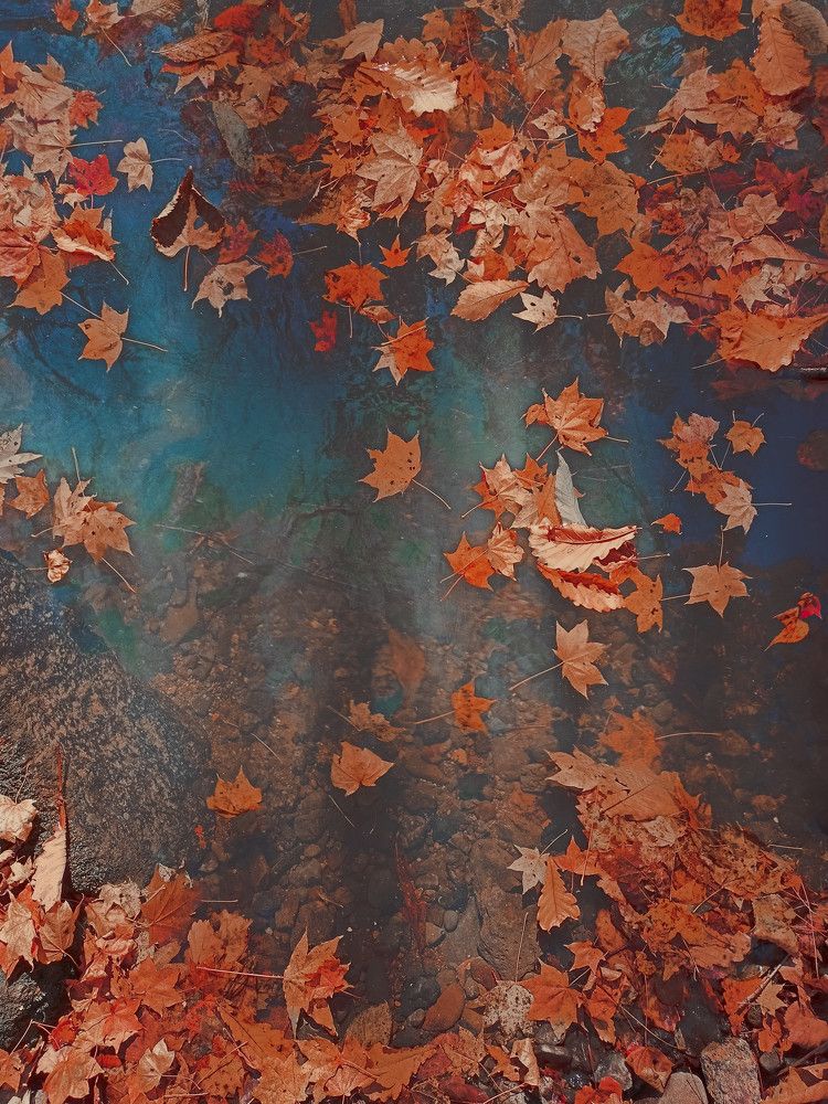 Photograph by Елизавета