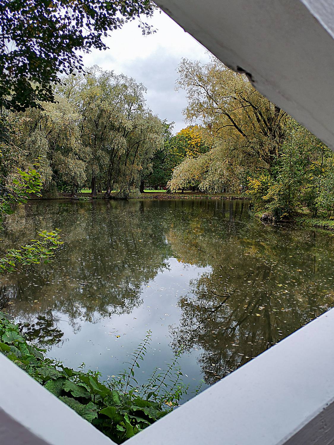 Photo #8891772