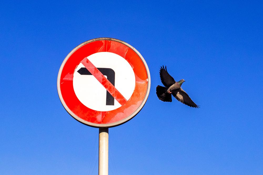 Photograph by Amirhossein Yousefi Keysari