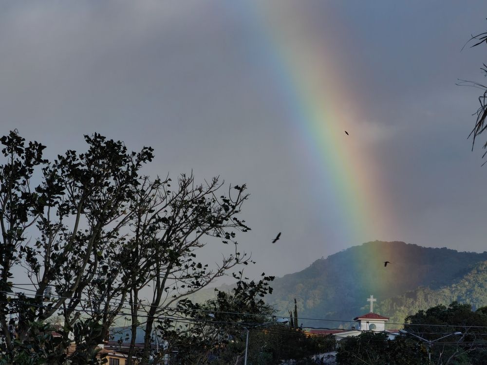 Photograph by Virginia Azocar