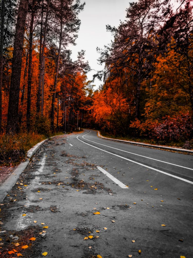 Огни осени (Autumn's fire)