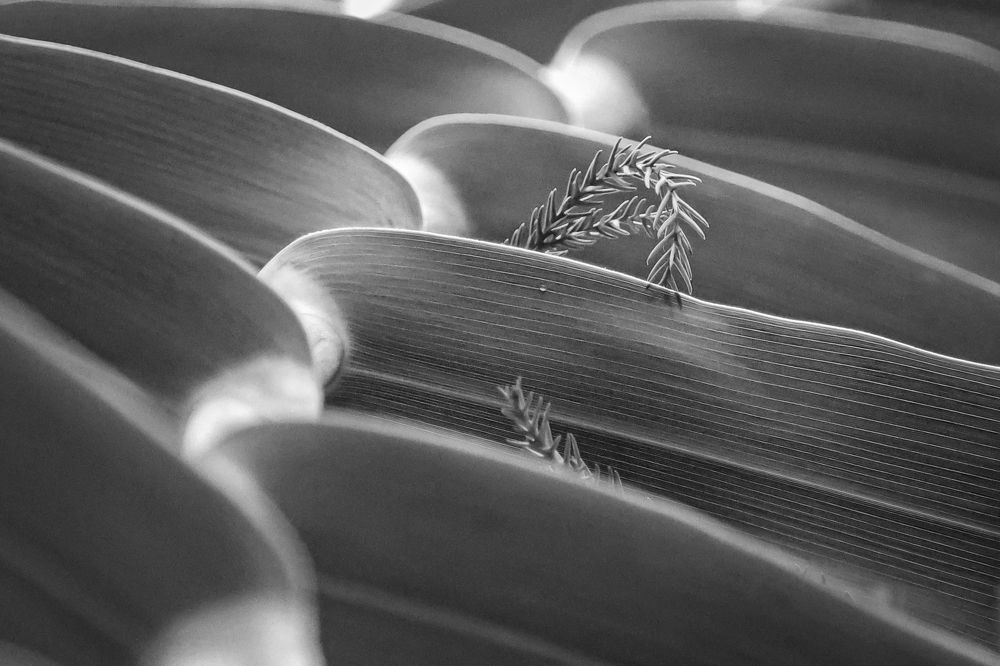 Photograph by Андрей