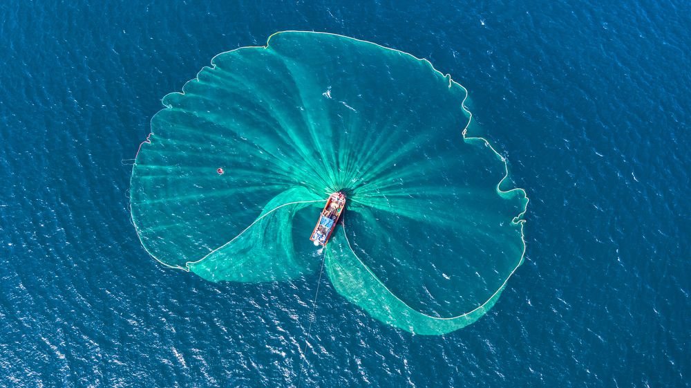 Fishing season in Phu Yen sea.