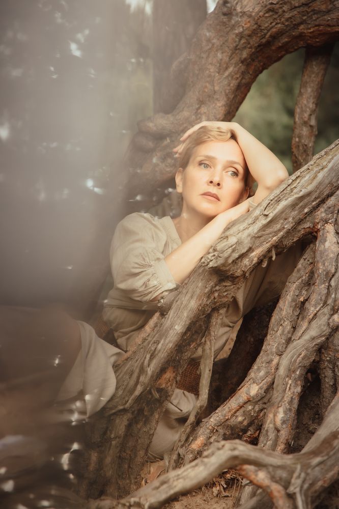 Заколдованный лес