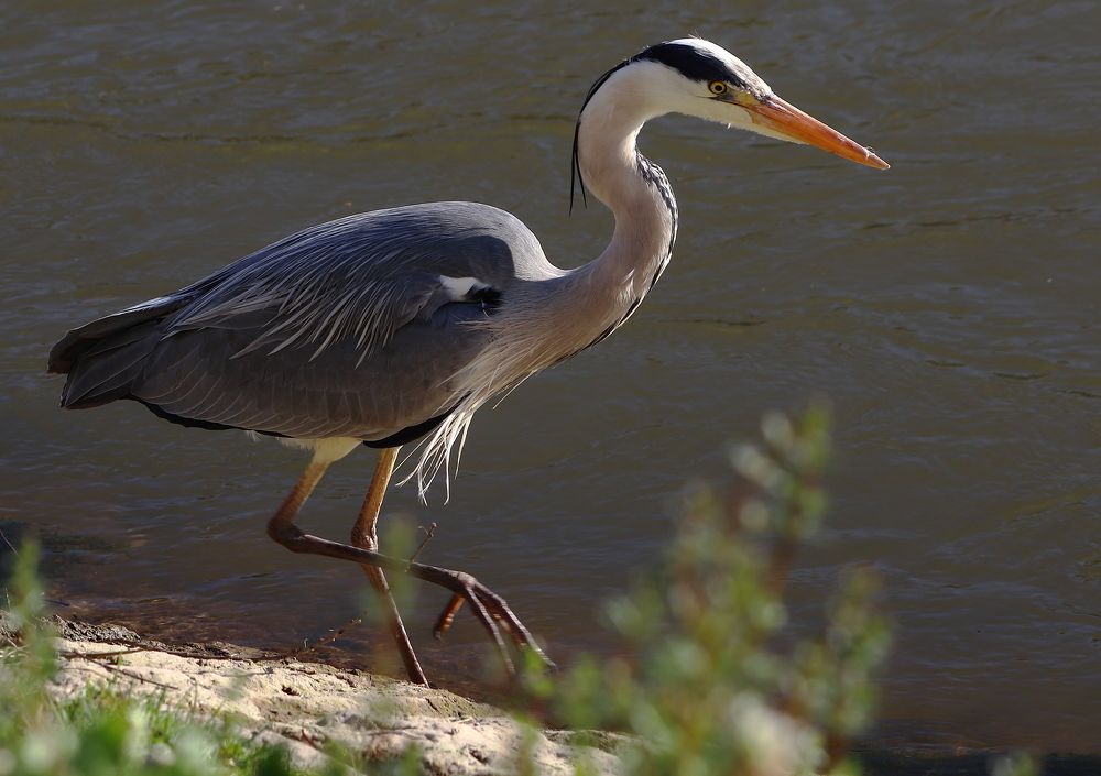 Photograph by BORUT DEŽMAN