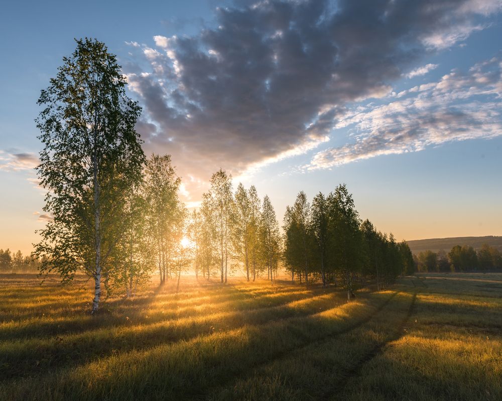 Фотография автора Тимофей Трямкин